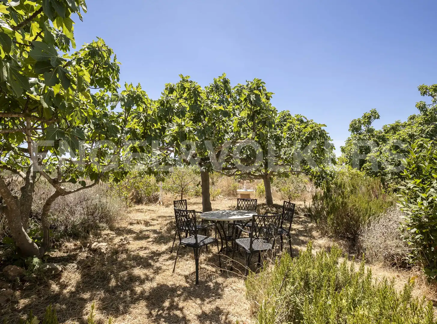 Maison rustique avec terrasse à vendre à Masía Mari Rosa, imagen 35