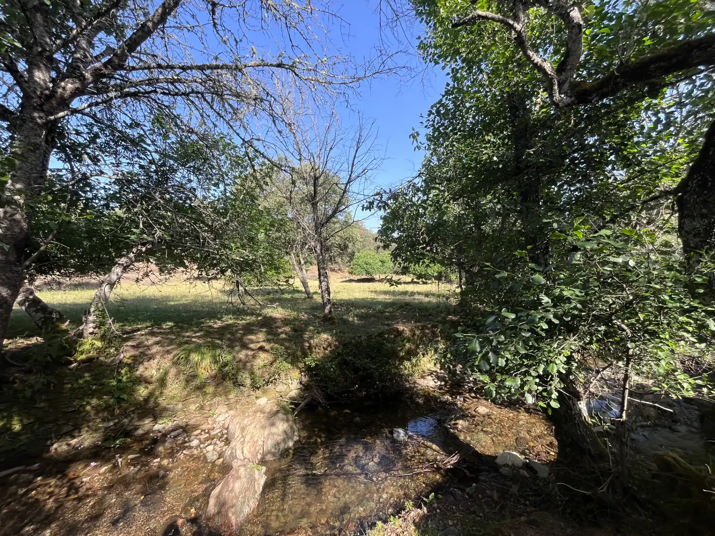 Terrenos y solares en venta en Plaza de Corterrangel, imagen 17