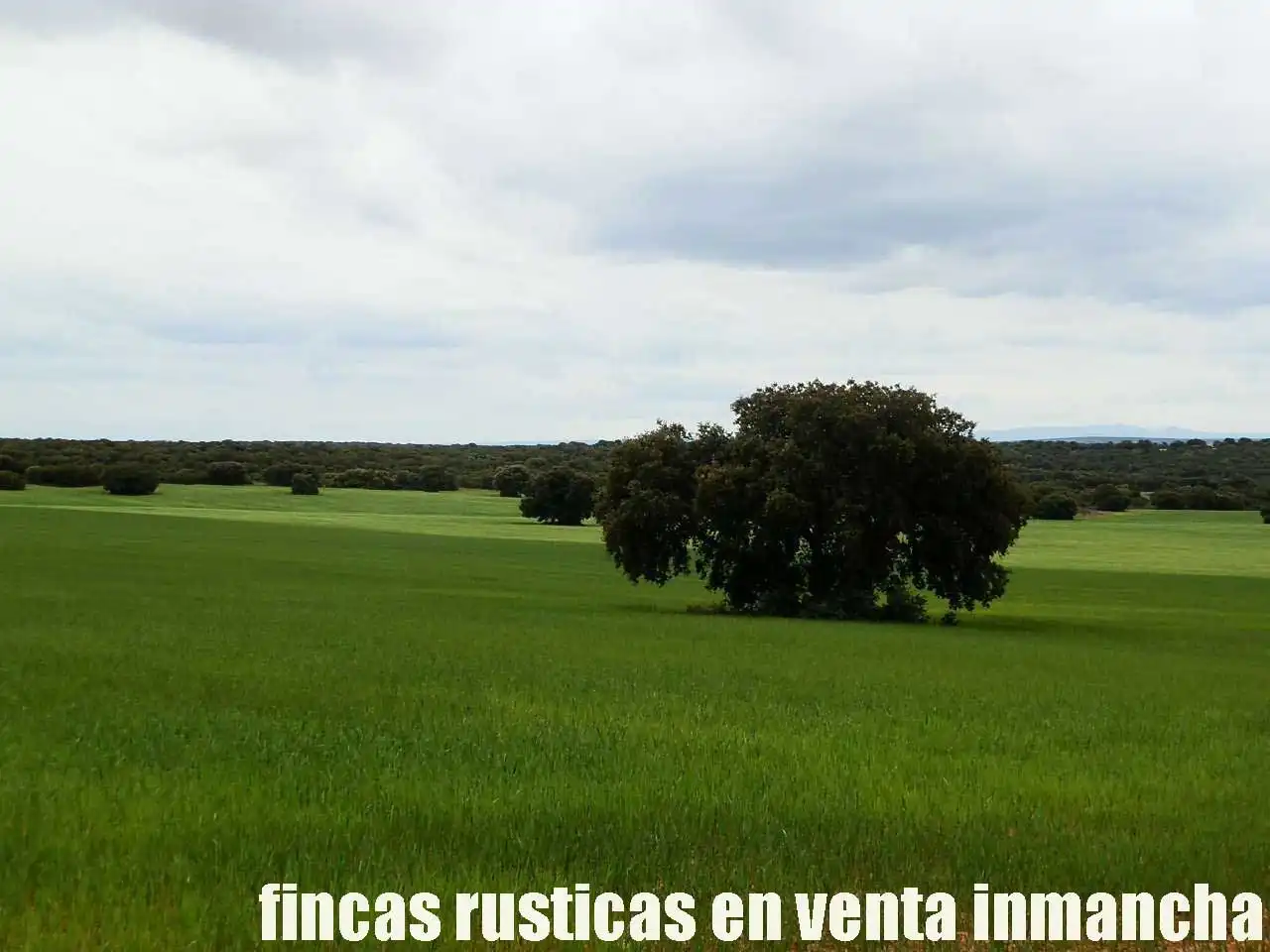 Terreno rustico in vendita a Ruidera, imagen 15