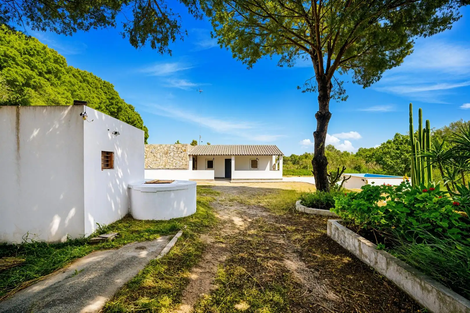 Vista exterior de Casa o chalet en venta en Chiclana de la Frontera con Trastero