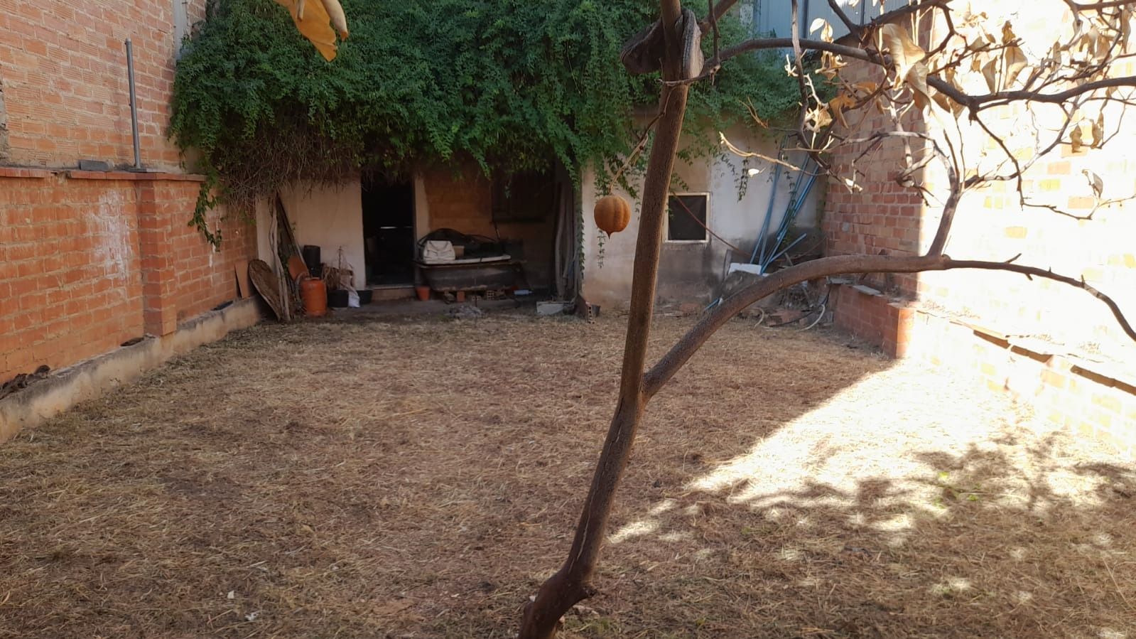 Garden of Residential for sale in El Vendrell