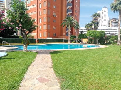 Swimming pool of Flat for sale in Benidorm  with Terrace, Swimming Pool and Community pool