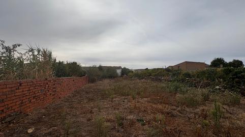 Foto 4 de Finca rústica en venda a Avenida del Doctor Diego, 7, Ferreras de Abajo, Zamora