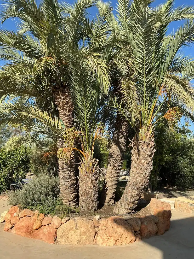 Villa avec piscine à vendre à Totana, imagen 41