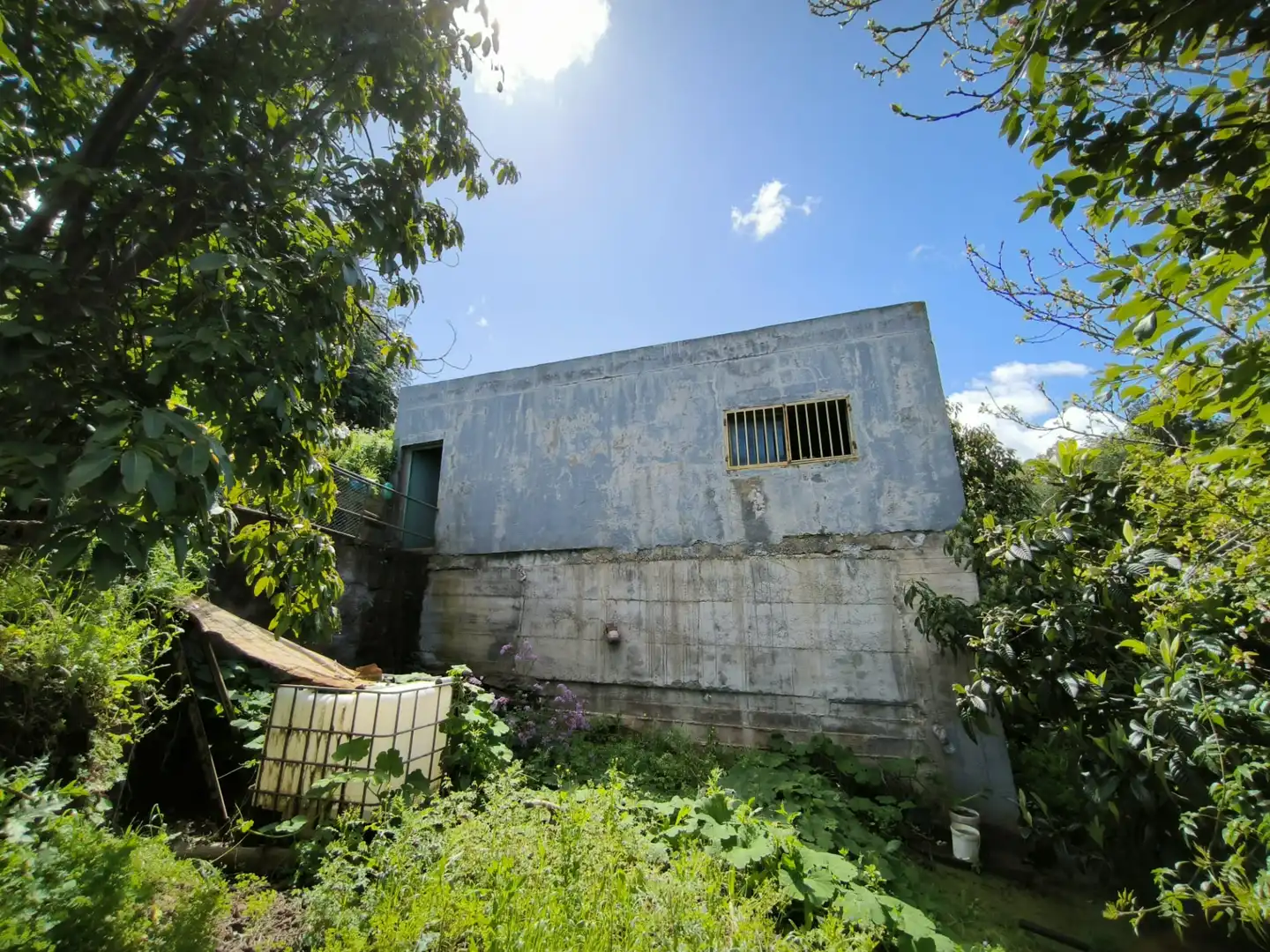Vista exterior de Finca rústica en venta en Moya (Las Palmas)