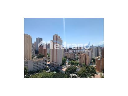 Vista exterior de Estudi en venda en Benidorm amb Piscina