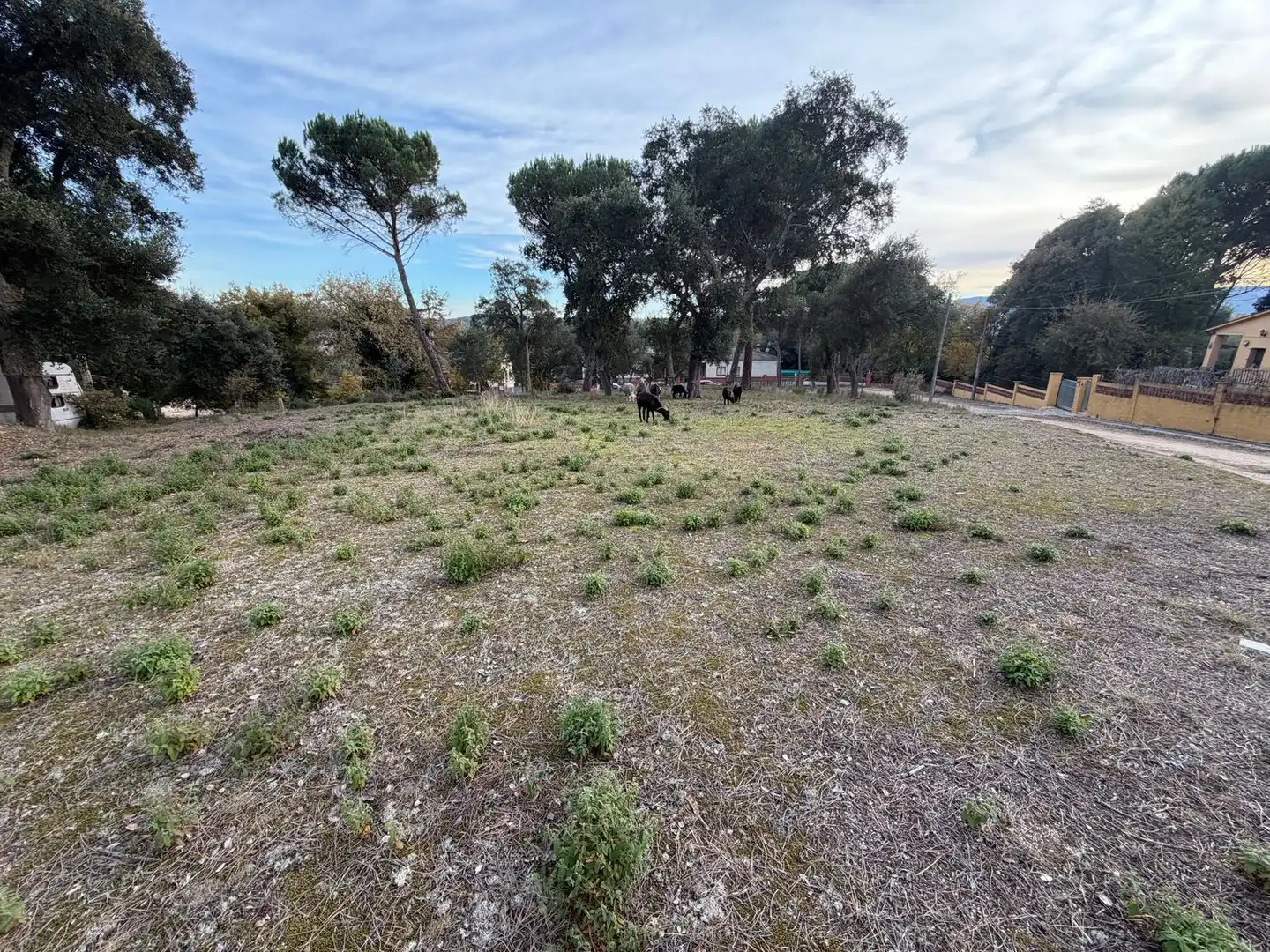 Residencial en venda en Massanes