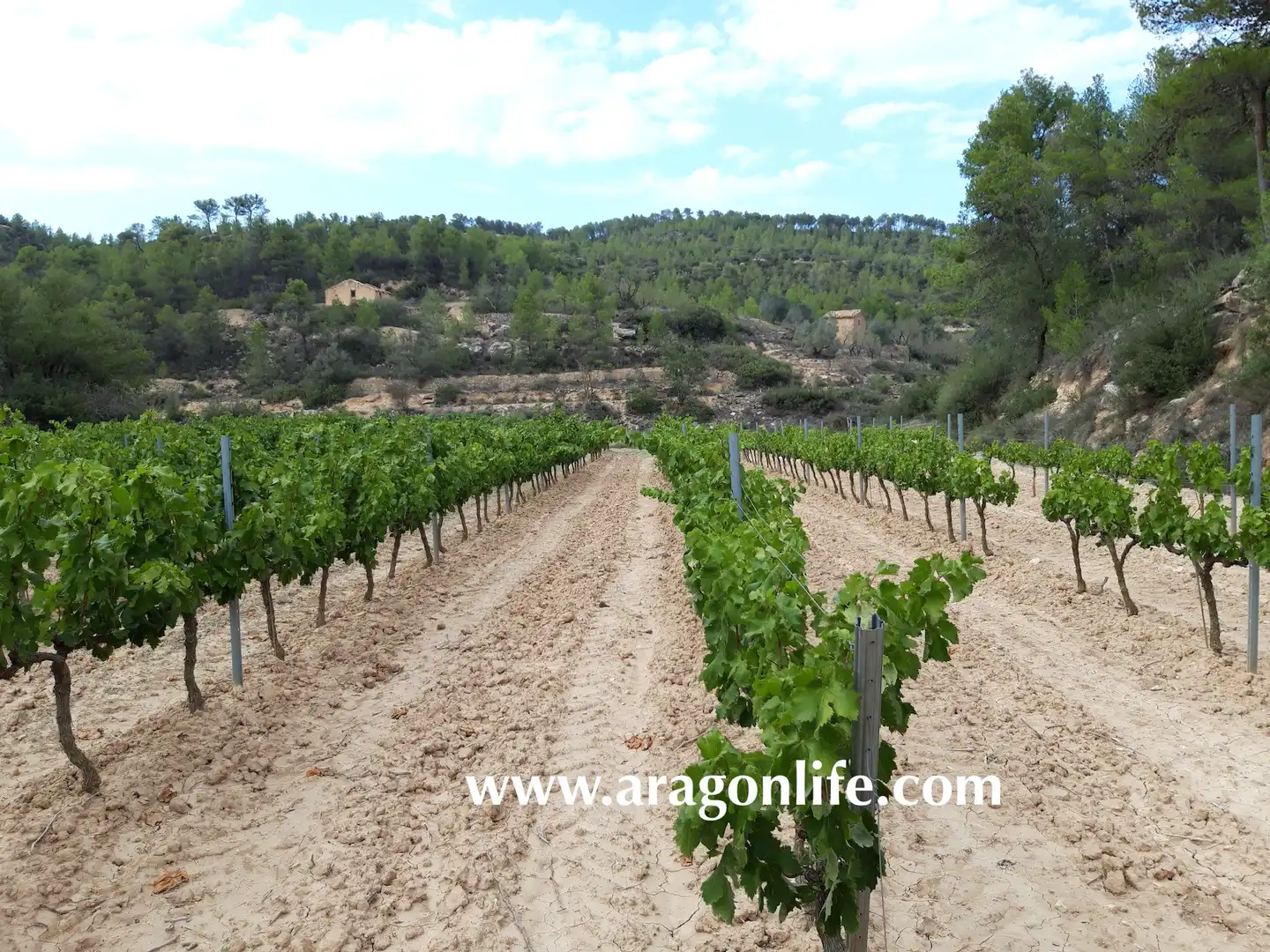 Jardí de Finca rústica en venda en Caseres