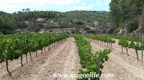 Foto 4 de Finca rústica en venta en N-420, Caseres, Tarragona