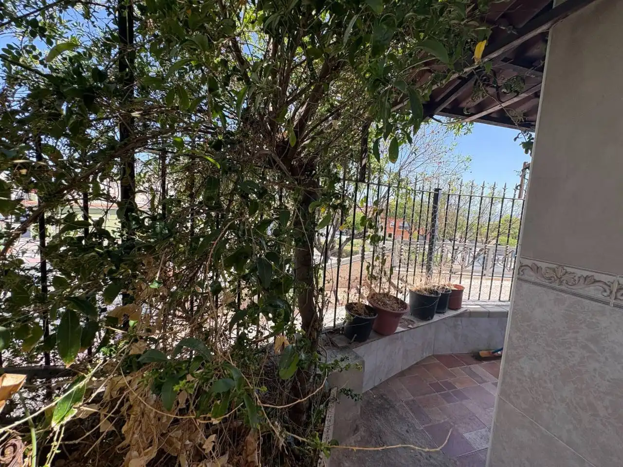 Terraza de Casa o chalet en venta en Aspe con Terraza