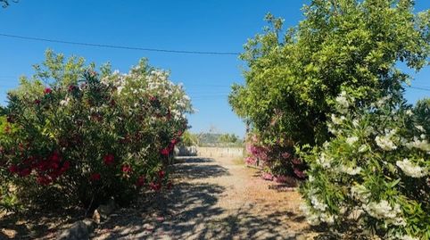 Photo 5 of Country homes for sale in Manacor Centre, Manacor