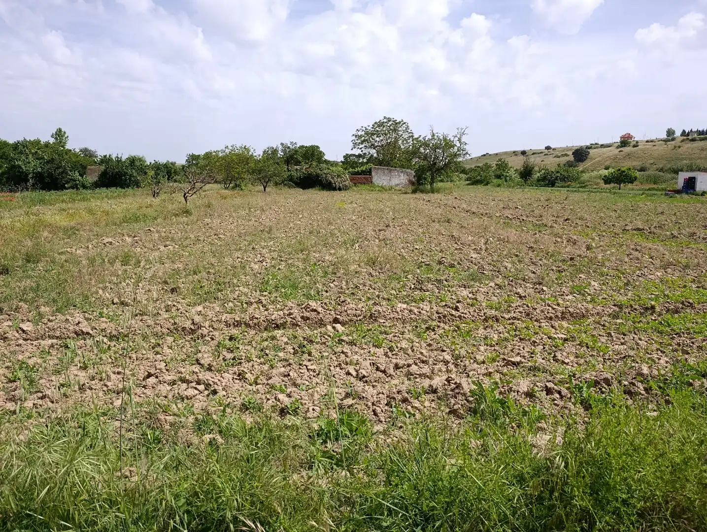 Terreni e lotti in vendita a Benavente, imagen 10