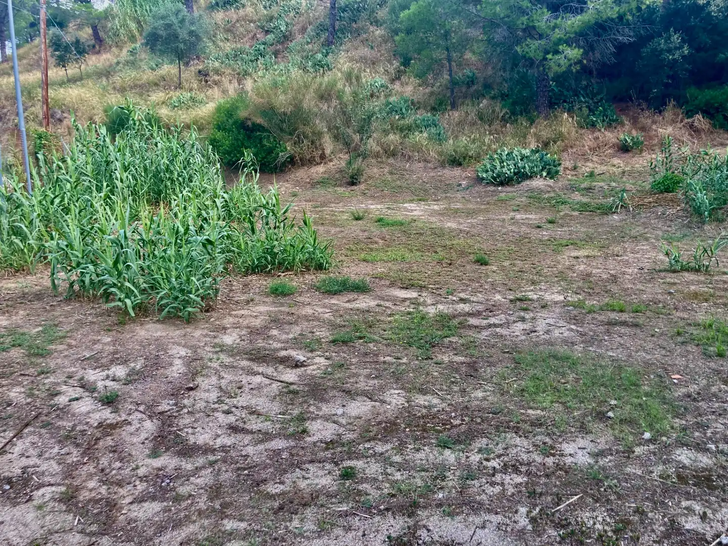 Terreny residencial en venda a Avinguda del Roser, imagen 6