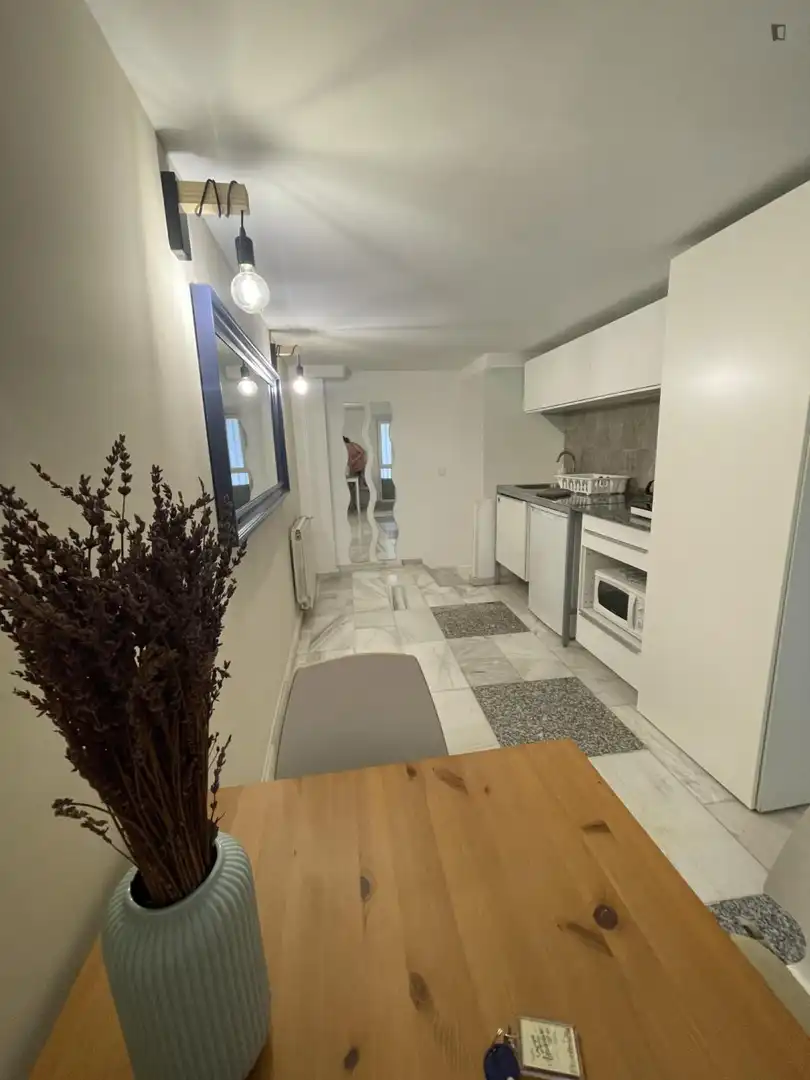 Cocina de Apartamento de alquiler en Madrid con Aire acondicionado, Calefacción y Amueblado
