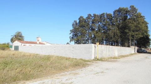 Foto 5 de Finca rústica en venda a Oliva Nova, Oliva