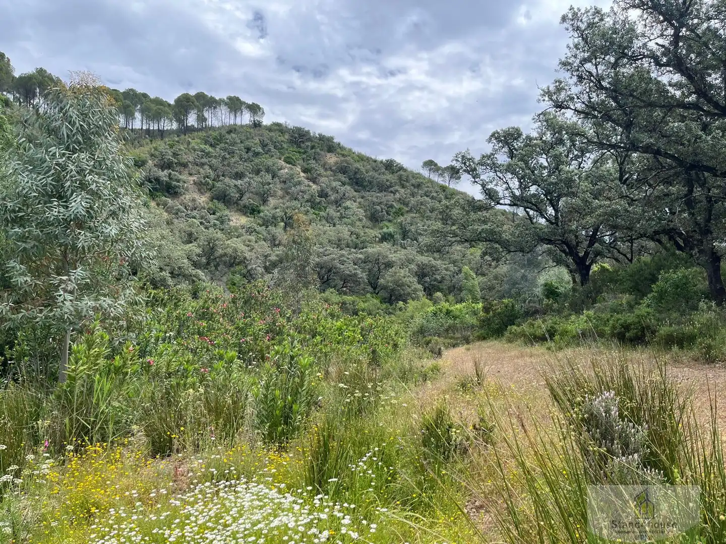 Finca rústica en venta en Berrocal