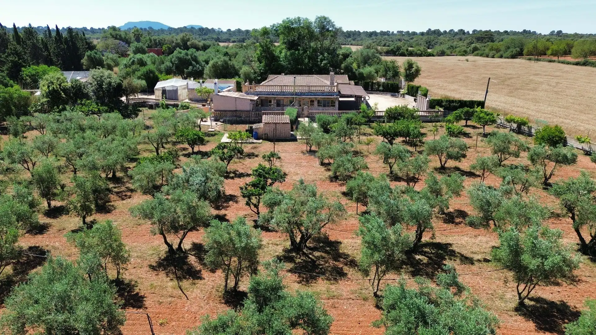 Jardín de Casa o chalet en venta en Santa Eugènia con Aire acondicionado, Calefacción y Terraza