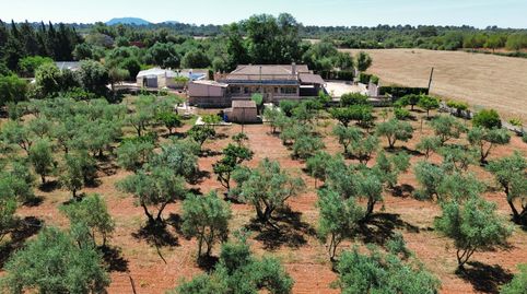 Foto 5 de Casa o chalet en venta en Santa Eugènia, Illes Balears