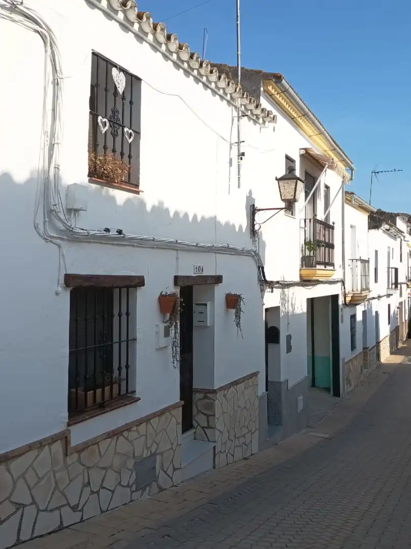 Vista exterior de Casa o chalet en venta en Algar con Aire acondicionado, Calefacción y Amueblado