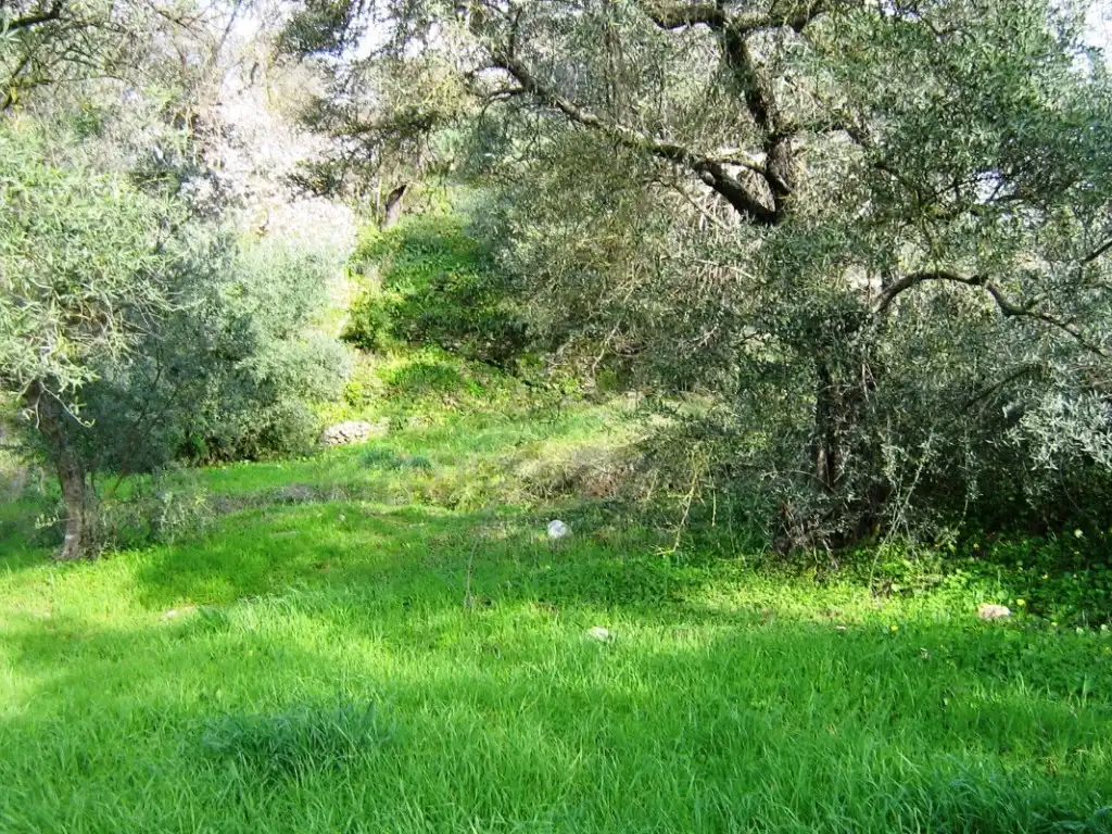 Casa o xalet en venda en Ronda