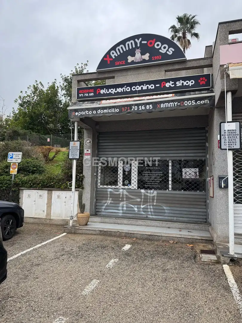 Geschaftsraum zur Miete in Calvià