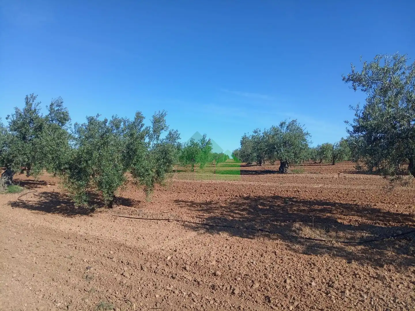 Residencial en venta en Corte de Peleas