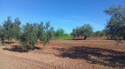 Photo 2 of Residential for sale in Corte de Peleas, Badajoz