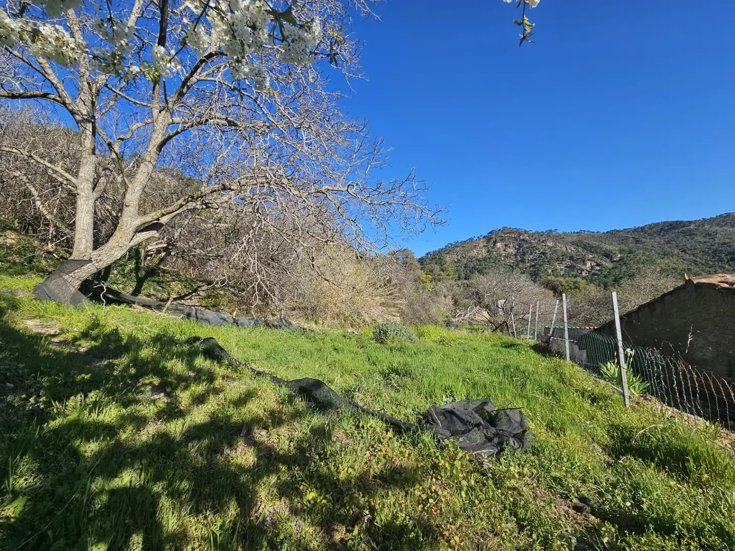 Country homes for sale in Villarrodrigo  with Private garden and Storage room