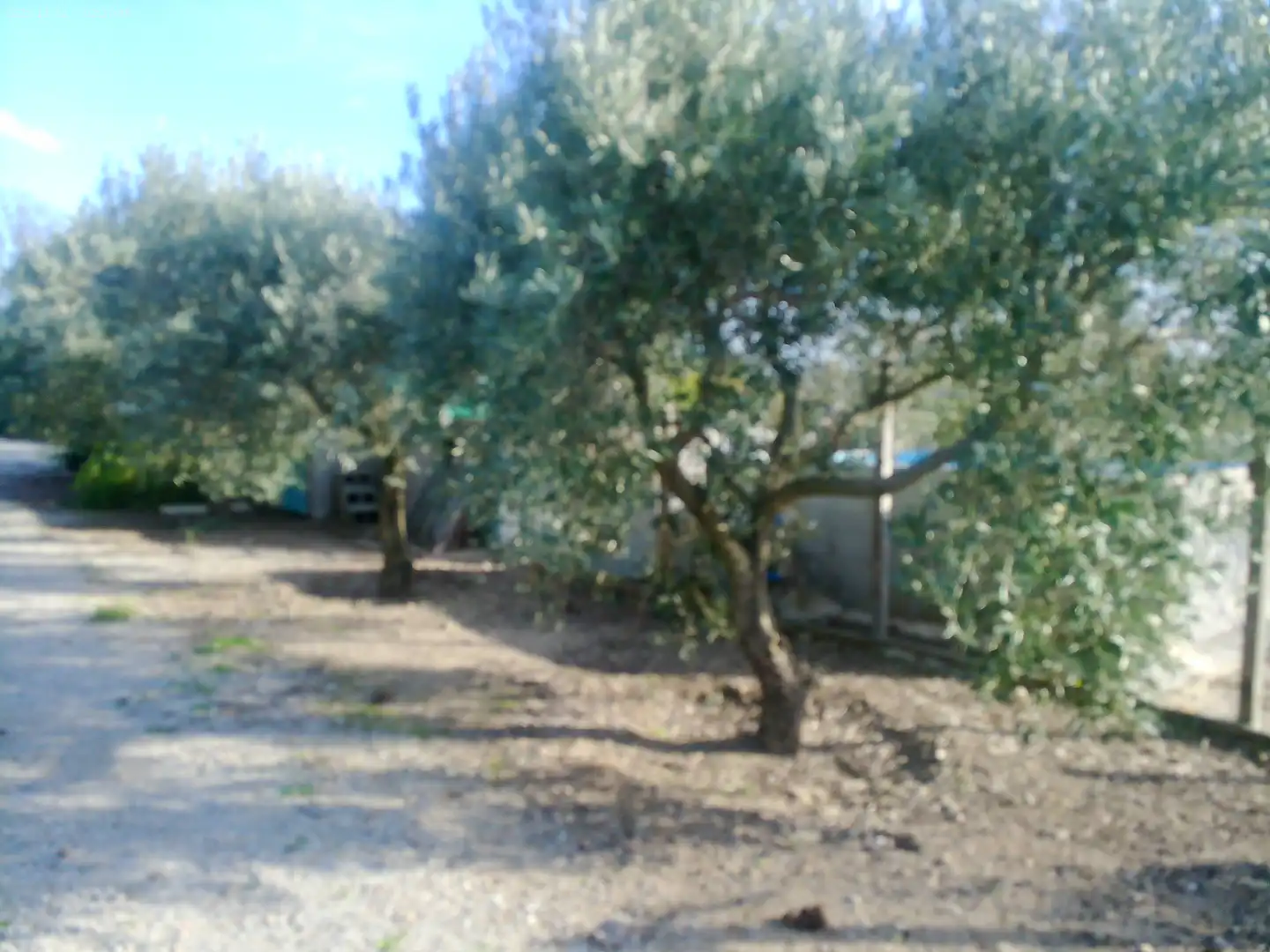 Jardín de Terreno en venta en Figueres