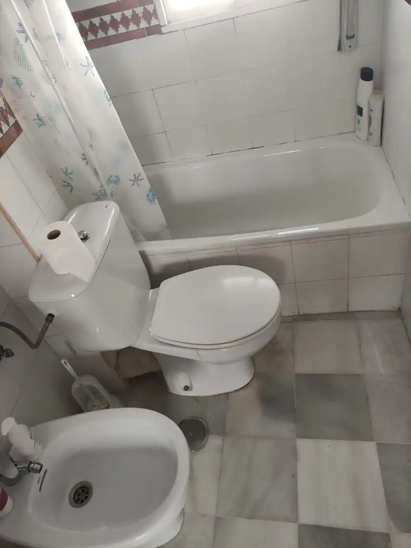 Apartments for rent in Centro