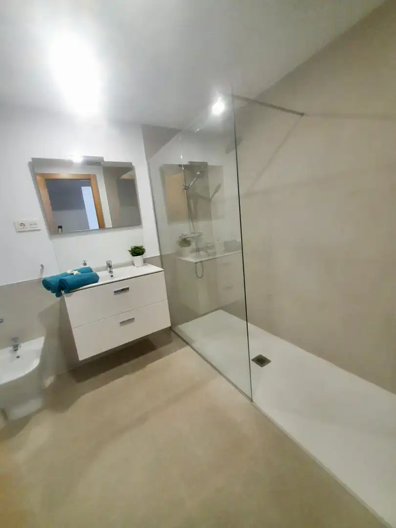 Bathroom of Flat for rent in Rincón de la Victoria
