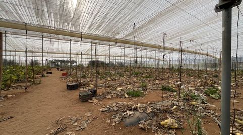 Foto 5 de Finca rústica en venda a Pedanías Norte, Utrera