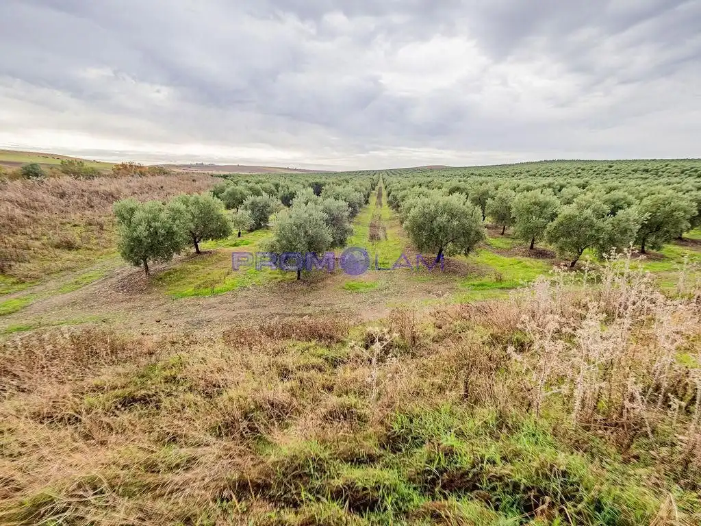 Residencial en venta en La Campana