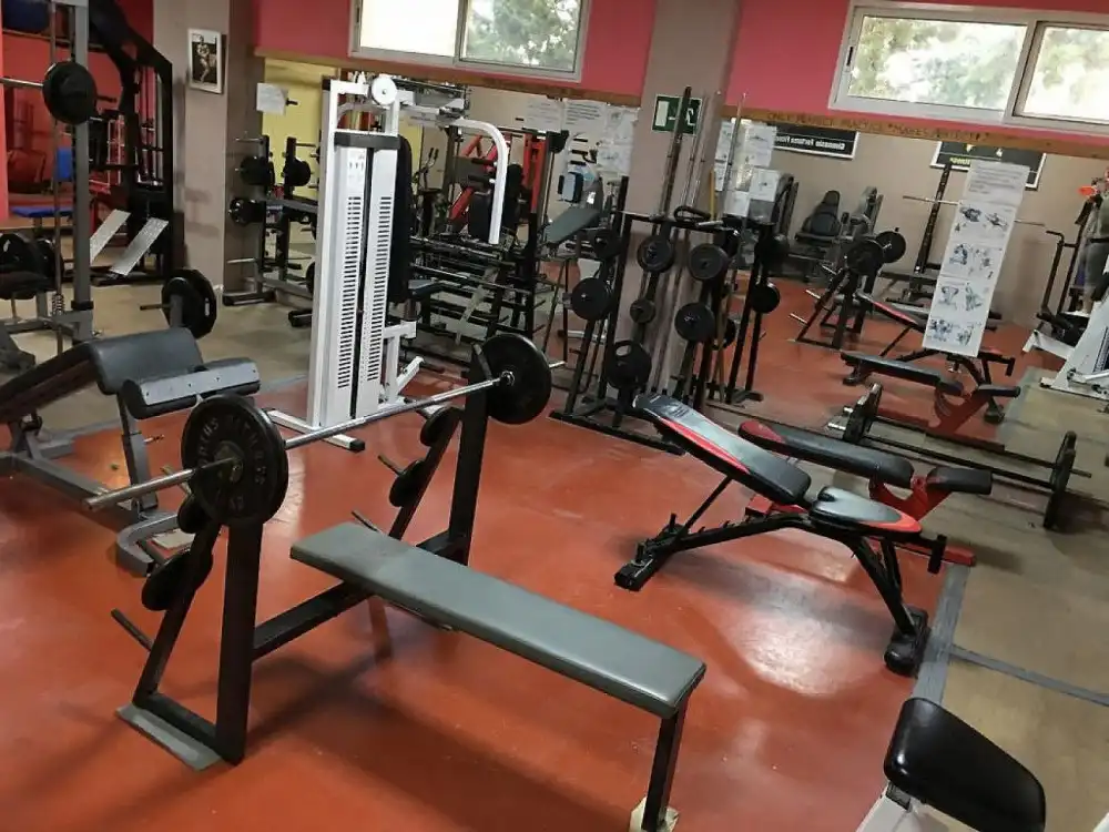 Piso en venta en Fortuna