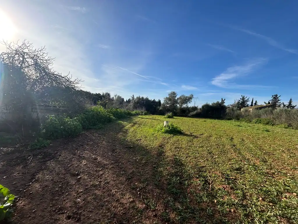 Land for sale in Muro