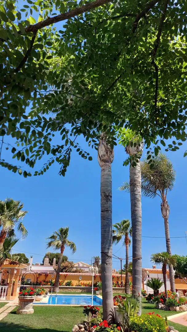 Vista exterior de Casa o chalet en venta en Benicarló con Jardín privado, Piscina y Amueblado