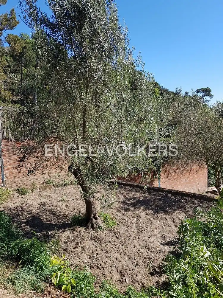 Terreno residencial en venta en Les Planes, imagen 9