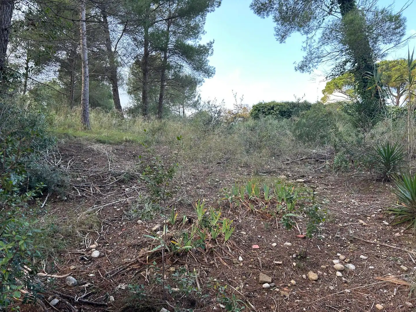 Rustikales Grundstück zum Verkauf in CAN FELIU, imagen 21