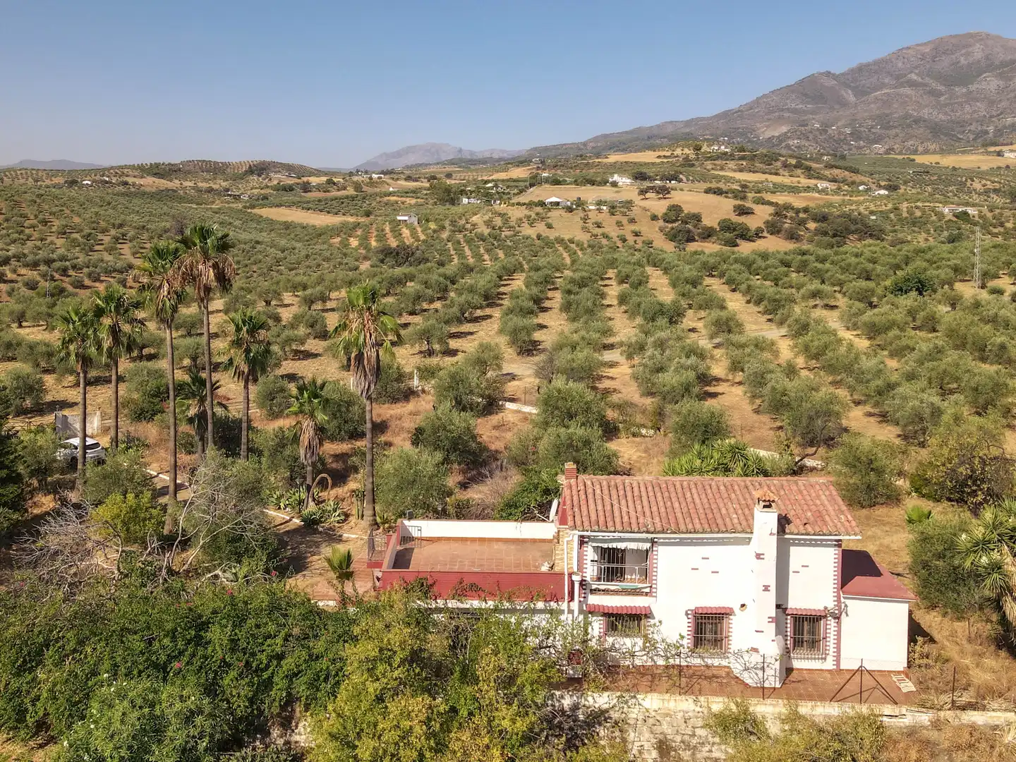 Jardí de Casa o xalet en venda en Casarabonela amb Jardí privat