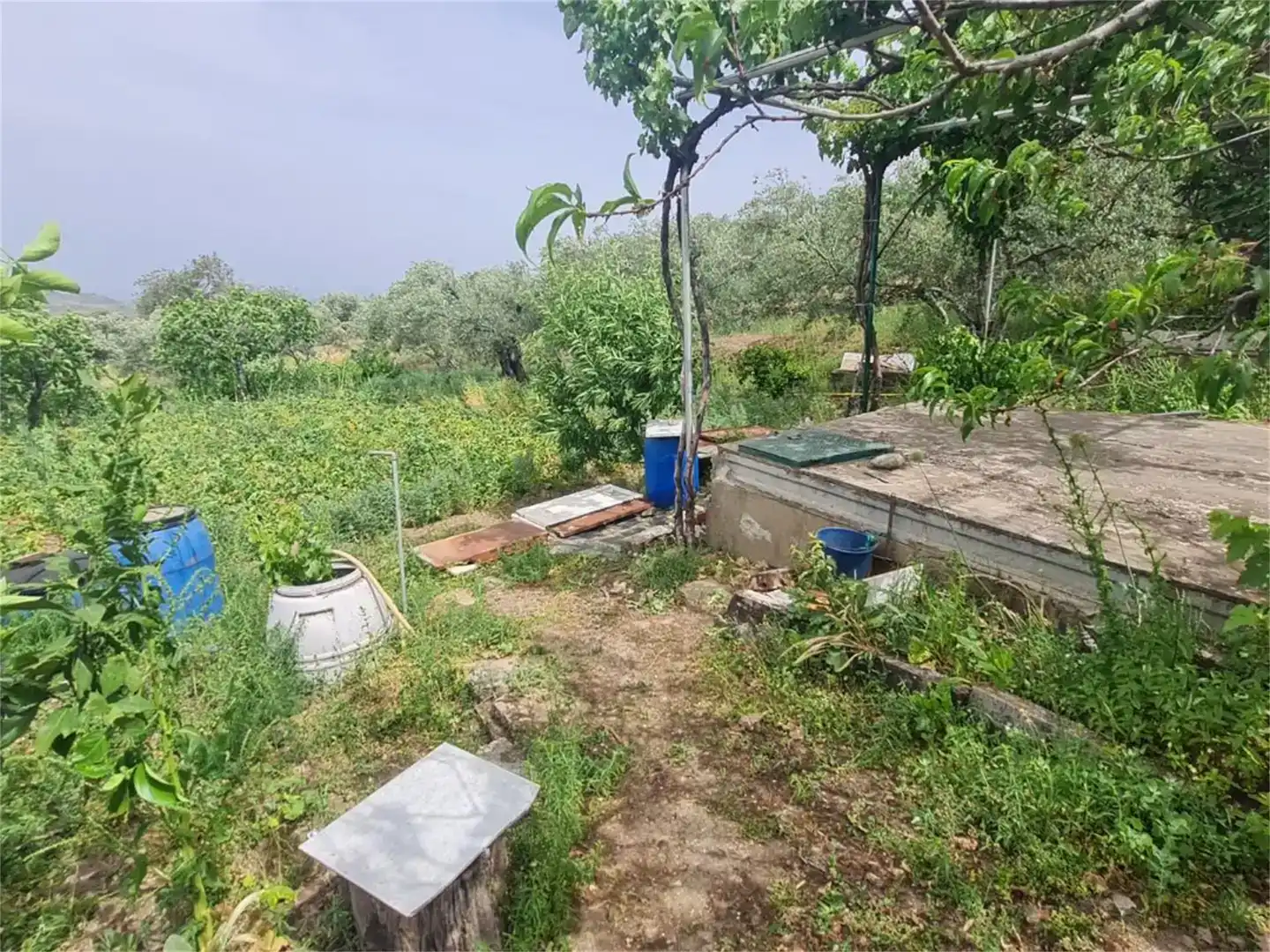 Finca rústica en venda en Plasencia