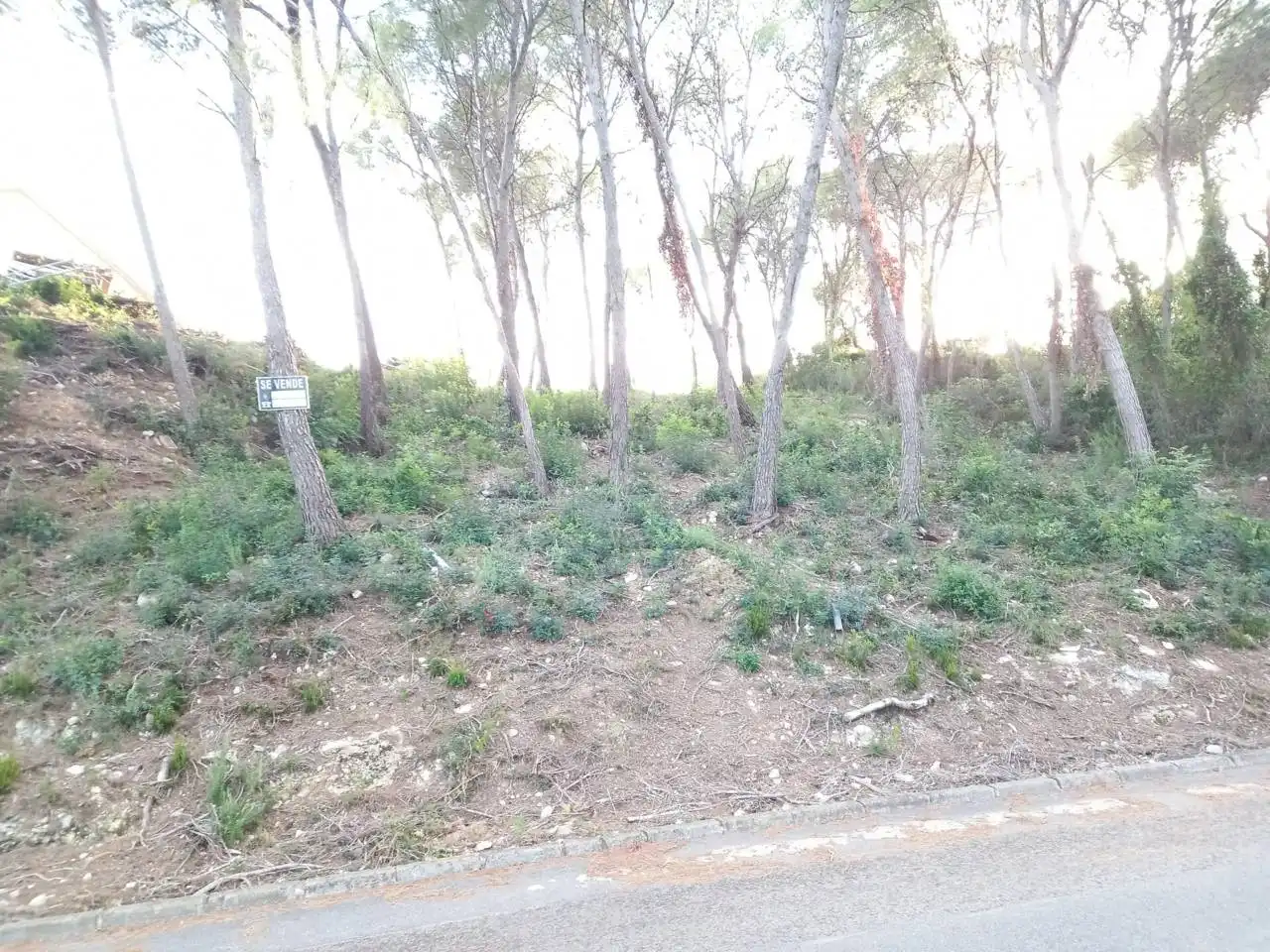 Terrain rustique à vendre à Calle joan miró 61