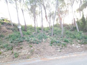 Terreno rustico in vendita a Calle joan miró 61