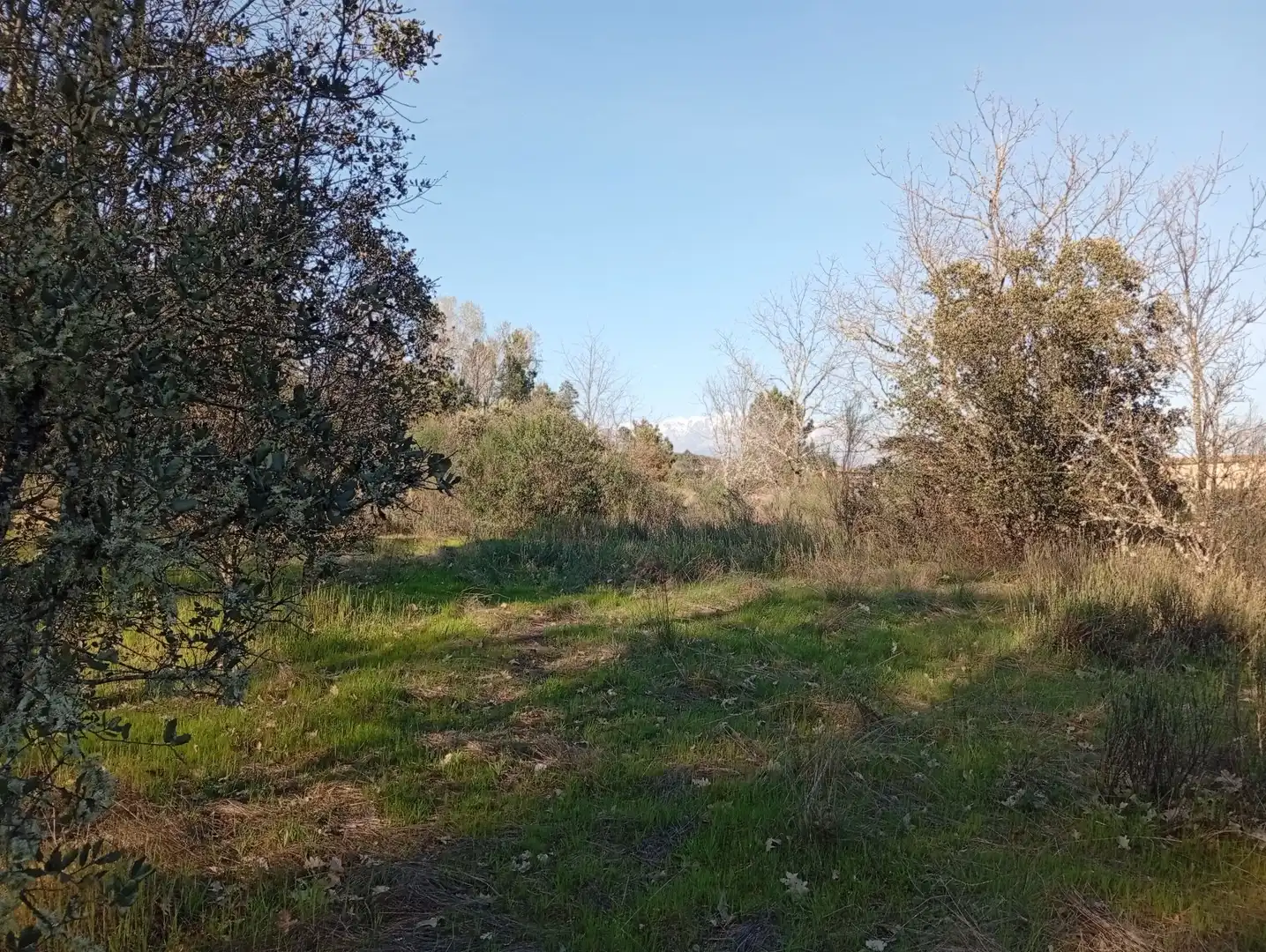 Terreni e lotti in vendita a Villanueva de la Vera, imagen 100