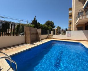 Swimming pool of Flat for sale in Torrevieja  with Heating, Swimming Pool and Furnished