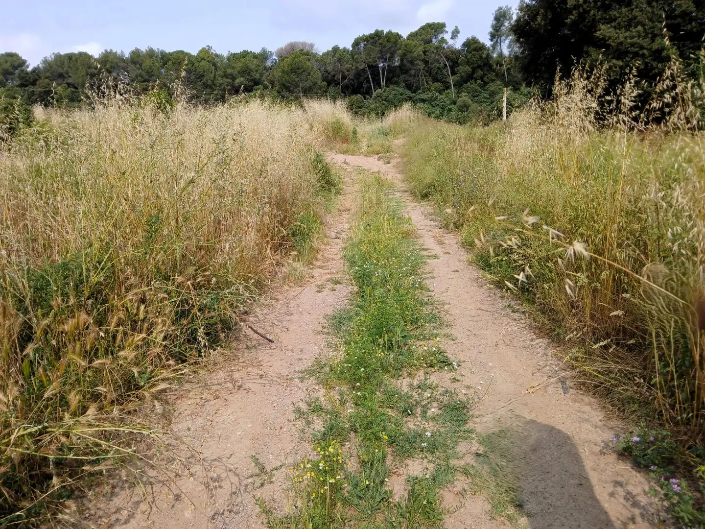 Terreno en venta en Castellar del Vallès