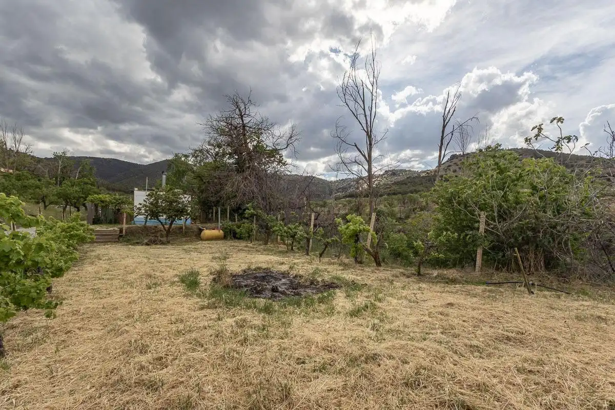 Finca rústica en venta en Dólar con Terraza