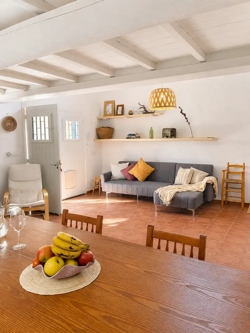 Sala d'estar de Casa o xalet en venda en Formentera amb Piscina