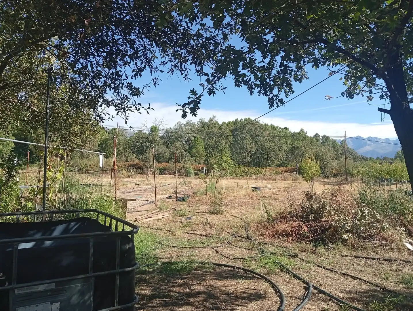 Terrain rustique à vendre à Villanueva de la Vera, imagen 22