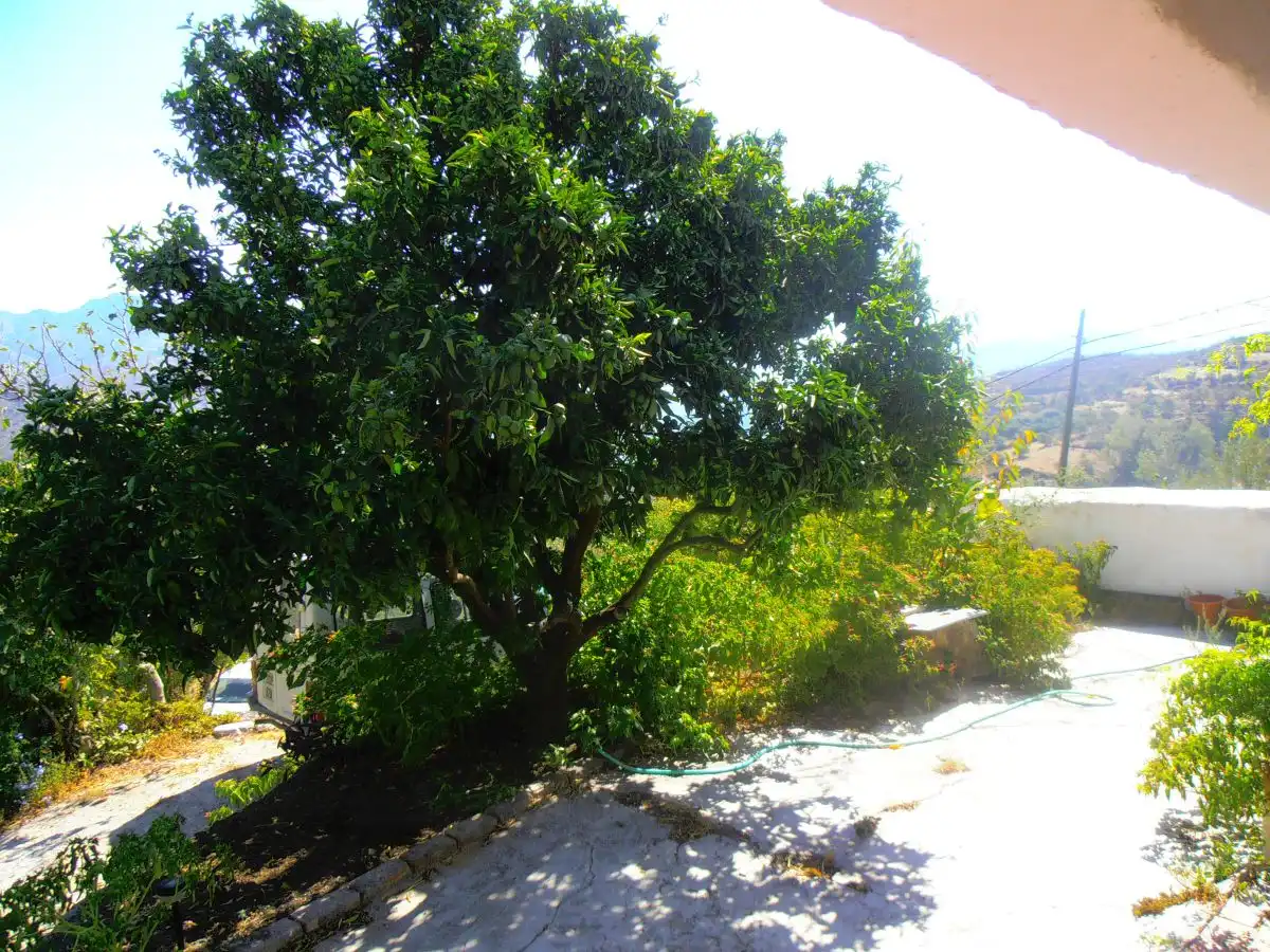 Jardí de Casa o xalet en venda en Soportújar amb Terrassa