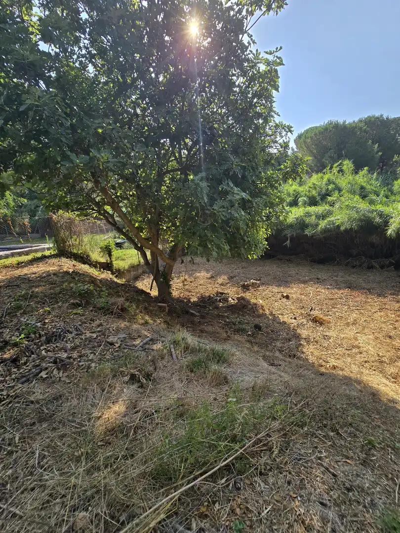 Terrenos y solares en venta en Vacarisses, imagen 4
